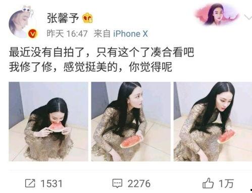 网曝吃瓜短片免费观看,免费观看背后的秘密