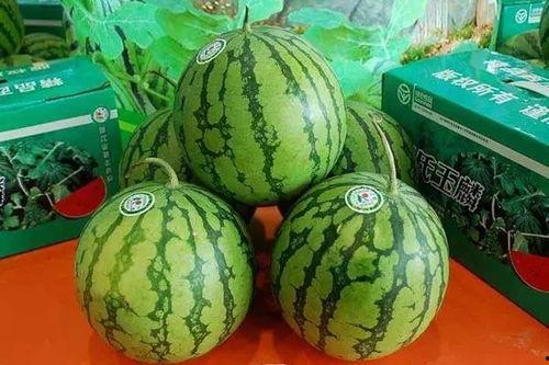 网爆吃瓜反差,揭秘明星背后的真实生活