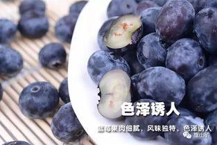 暗黑吃瓜网官网蓝莓,蓝莓视角下的娱乐圈风云