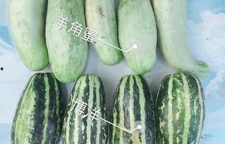 网红瓜瓜吃瓜,揭秘网红圈的那些事儿